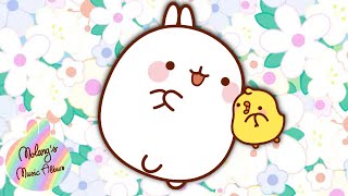 Molang  Best of Best Songs  🎵💃  More MolangCartoon ⬇️ ⬇️ ⬇️ [upl. by Minoru223]