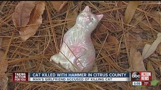 Cat beaten to death with hammer [upl. by Cheung]