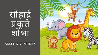 Class 10 Sanskrit Chapter 7 explanation in Hindi [upl. by Chapell855]