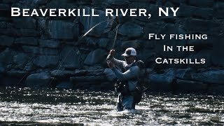 Euro Nymphing the Beaverkill River NY Fly Fishing in the Catskills [upl. by Leandre]