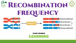 Recombination Frequency [upl. by Dall507]