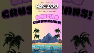 Unveiling the World of Crustaceans  ABC ZOO Fun Animal Lessons [upl. by Kohsa]