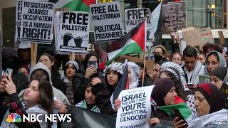 WATCH Noisy protest in Chicago in support of Palestinians [upl. by Naomi167]