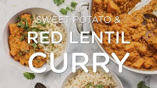 COZY amp CREAMY RED LENTIL CURRY ‣‣ Easy One Pot Vegan Recipe [upl. by Oilla62]