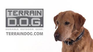 Terrain DOG® Collar Size Guide [upl. by Eilrak]