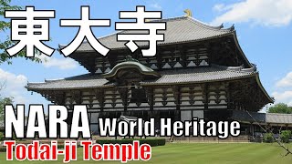 【奈良時代】東大寺 AD 728 Todai ji Temple [upl. by Aidekal]