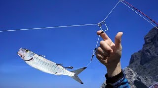 4 Gear Tips for Better Topwater Bass Fishing [upl. by Girovard]