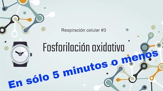 Fosforilación oxidativa en sólo 5 minutos o menos [upl. by Cyler]