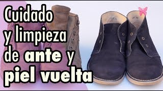 Cómo limpiar zapatos de ante y piel vuelta zapatos de gamuza o nobuk [upl. by Eimas]