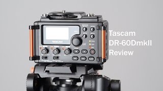 Tascam DR60DmkII Audio Field Recorder Review [upl. by Nylodnew622]