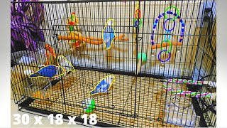 How to Set up a Lovebird Flight Cage  Perfect Cage Size for Lovebirds  Small Birds [upl. by Letch935]