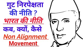 गुट निरपेक्षता आंदोलन क्या है  गुट निरपेक्षता किसे कहते हैं  Non Alignment Movement in Hindi [upl. by Aigil]