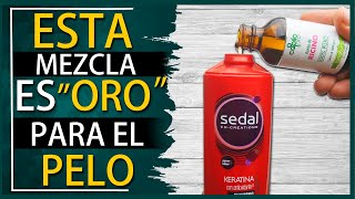 Crecimiento del Cabello Acelerado Potencia tu Shampoo con Aceite de Ricino [upl. by Aveneg]