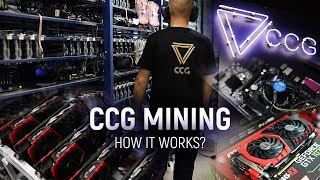 CCG MINING  How crypto farm Works [upl. by Kaiulani]