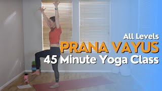 45 Minute Yoga Class  Prana Vayus [upl. by Trask]