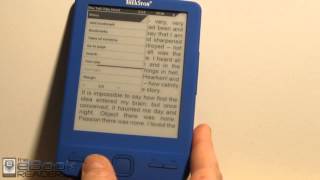 Review Pyrus Mini eBook Reader with Digital Ink [upl. by Ellerehc]