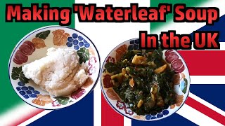 Making Nigerian Waterleaf Soup In The UK Using Available Ingredients [upl. by Aitahs]