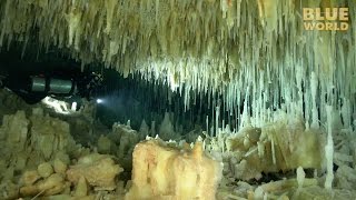 Mysterious Crystal Caves of Abaco  JONATHAN BIRDS BLUE WORLD [upl. by Alejandrina]