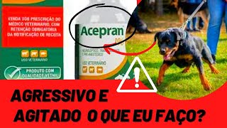 SEDATIVO PARA CACHORRO AGRESSIVO E AGITADO  Acepran NÃO USE SEM ASSISTIR Pode Salvar ou Matar Cães [upl. by Eckardt317]