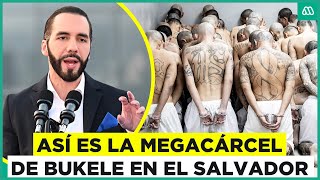 La megacárcel de Bukele Así es por dentro la prisión de El Salvador [upl. by Bigler]