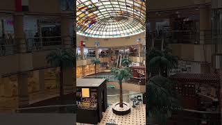 Dubai II Rashidiya Spinneys viral shorts dubaiviral viralshorts viralvideos foryou [upl. by Enixam]