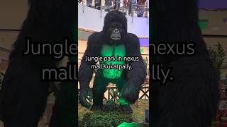 The Jungle Park at Nexus Mall is Next Level [upl. by Artcele573]