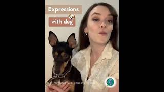 Dog idioms idiomsmeaningexamples [upl. by Rhodes756]