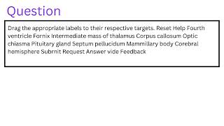 Drag the appropriate labels to their respective targets [upl. by Anola]