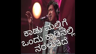 KAADU MALLIGE ONDU by Vijay Prakash [upl. by Tristas]