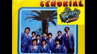 Salsa Mexicana  Sonora Señorial [upl. by Igic]