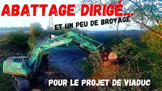 chantier dabattage délicat [upl. by Vaclava986]