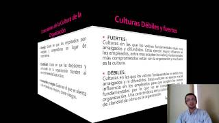 Capítulo 31 Cultura Entorno y Limitaciones de las Organizaciones [upl. by Wolfgram]