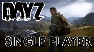 dayzstandalone How to run Singleplayer with a batch file  Easy Guide [upl. by Adnawot919]