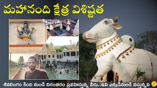 mahanandi temple history in telugu  mahanandi water mystery  mahanandi temple inside  yaganti [upl. by Gaven]