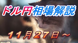 【TAKA FX】ドル円為替相場の今週の動きと来週の展望をチャートから解説。日経平均、NYダウ、金チャートも。11月27日～ [upl. by Armillda420]