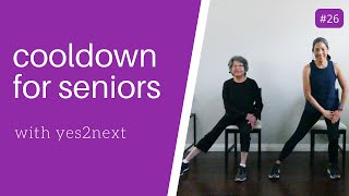 Exercise Cooldown for Seniors Beginners [upl. by Tsiuqram436]