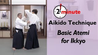 Ikkyo Atemi  The Aiki Dojo 2 Minute Technique  aikido aikidocenterla ikkyo atemi [upl. by Caesaria]