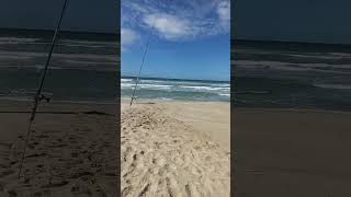 Fishing on muizenberg Beach ⛱️ subscribe foryou shorts [upl. by Nyrmac]