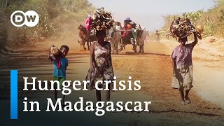 Climate change or politics  Why Madagascar is going hungry  DW Documentary [upl. by Ynatirb]