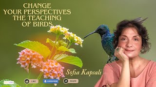 Change your perspectives  The teaching of birds [upl. by Constantina]