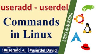 How to create and delete users in Linux  useradd  userdel [upl. by Ylremik]