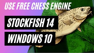 How to download and use stockfish14 [upl. by Alikee144]