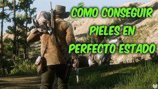 CÓMO CONSEGUIR PIELES EN PERFECTO ESTADO  RED DEAD REDEMPTION 2 [upl. by Corella965]