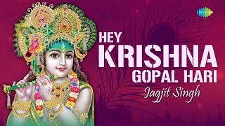 Hey Krishna Gopal Hari with lyrics  हे कृष्णा गोपाल हरी  Jagjit Singh  Krishan Bhajan [upl. by Acila]