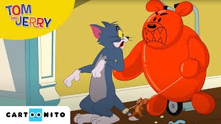 Tom și Jerry  Distracție cu baloane  Cartoonito [upl. by Alberto48]