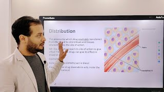 pharmacokinetics distribution [upl. by Ennad]