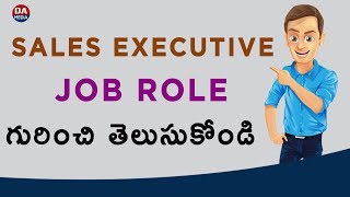 What Is Sales Executive Job Role [upl. by Drofdarb684]