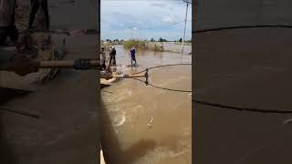 Fisherman Cast Net Fishing Many Fish Under Dam part 678 netfishing [upl. by Ahseym]