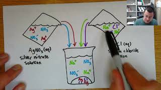 Net ionic equations [upl. by Madelina]