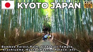 【 Kyoto Japan 】Walking around the ancient capital of Kyoto [upl. by Sussman]